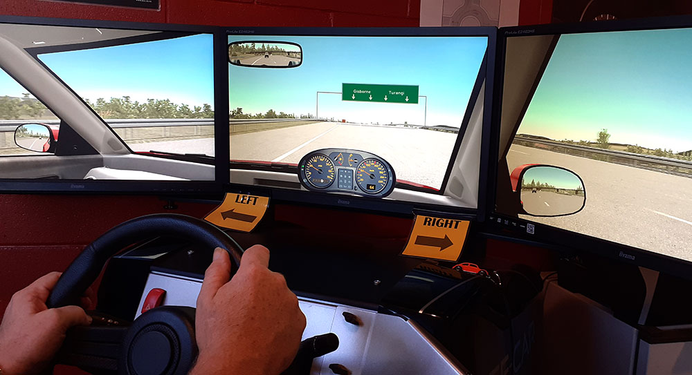 Carnetsoft car driving simulator for training, assessment and research